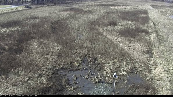 Cell 1_24-02-06_12-46-41-94