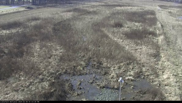 Cell 1_24-02-06_13-53-39-97