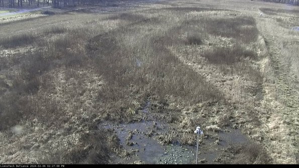 Cell 1_24-02-06_14-27-08-96