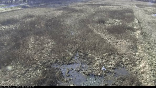 Cell 1_24-02-06_15-00-38-94