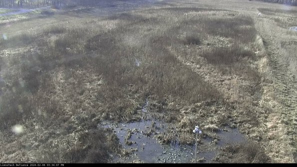 Cell 1_24-02-06_15-34-07-96