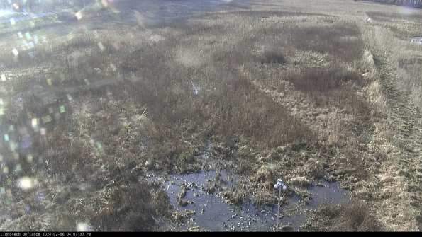 Cell 1_24-02-06_16-07-37-94