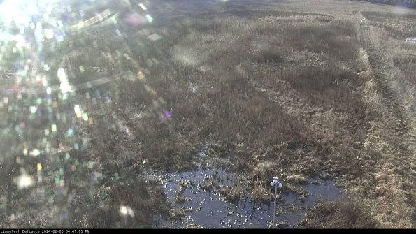 Cell 1_24-02-06_16-41-05-96