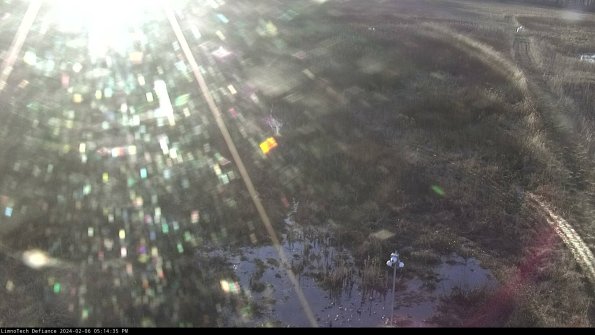 Cell 1_24-02-06_17-14-35-95