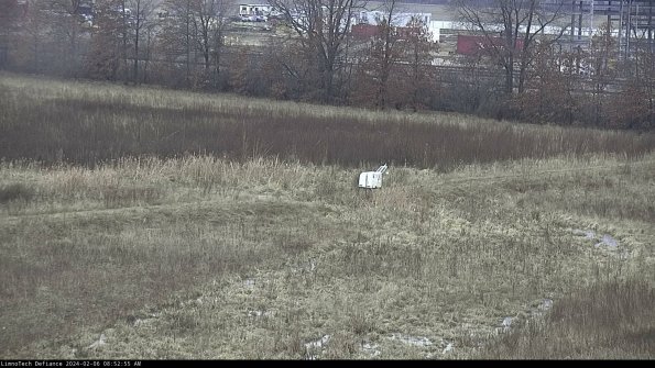 Cell 2 to 3_24-02-06_08-52-56-04