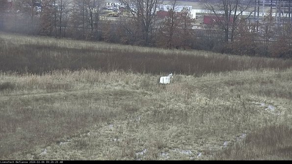 Cell 2 to 3_24-02-06_09-26-26-09