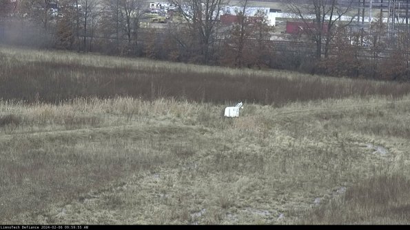 Cell 2 to 3_24-02-06_09-59-55-97