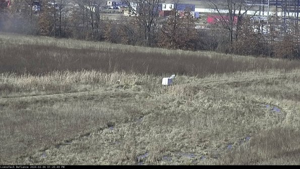 Cell 2 to 3_24-02-06_13-20-50-09