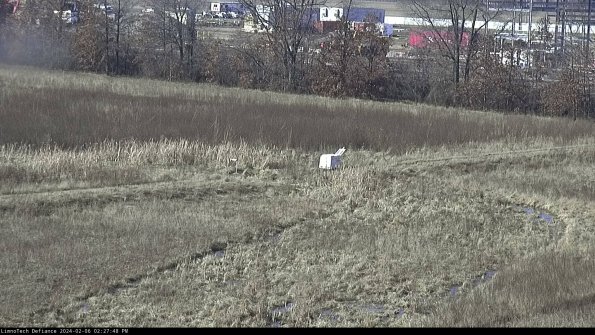 Cell 2 to 3_24-02-06_14-27-49-06