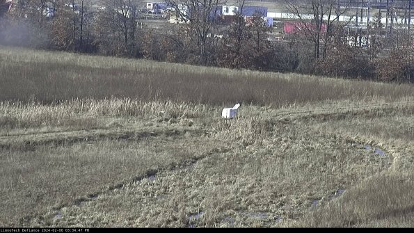 Cell 2 to 3_24-02-06_15-34-48-07