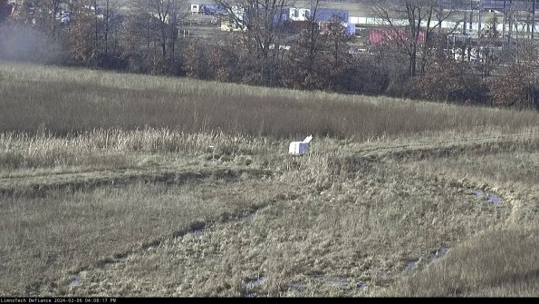 Cell 2 to 3_24-02-06_16-08-18-02