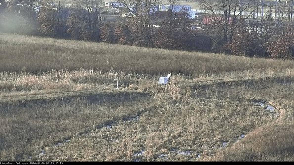 Cell 2 to 3_24-02-06_17-15-16-09