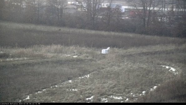 Cell 2 to 3_24-02-06_18-22-14-05