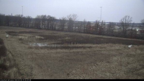 Cell 2_24-02-06_07-45-43-94