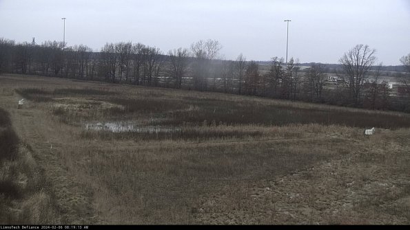 Cell 2_24-02-06_08-19-13-98