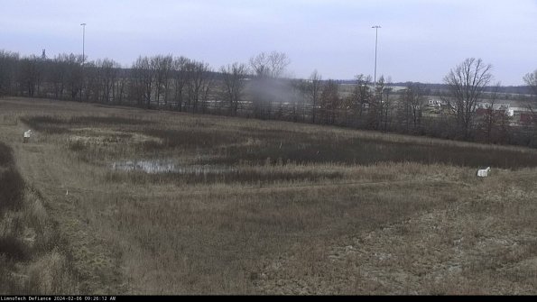 Cell 2_24-02-06_09-26-12-97