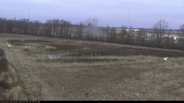 Cell 2_24-02-06_09-59-42-95