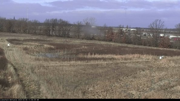 Cell 2_24-02-06_11-06-39-95