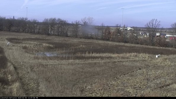 Cell 2_24-02-06_12-47-08-96