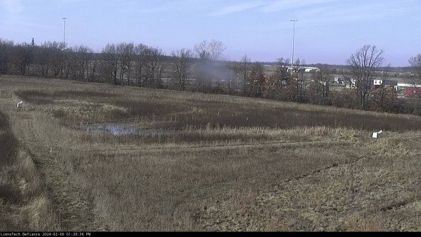 Cell 2_24-02-06_13-20-36-98