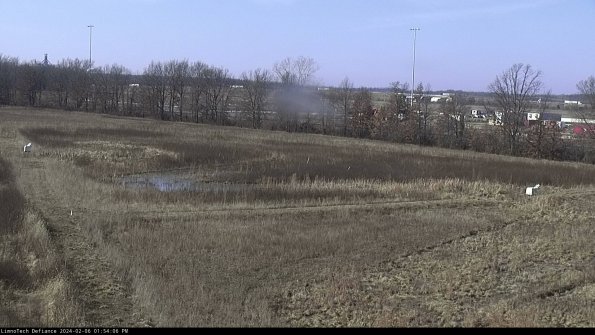 Cell 2_24-02-06_13-54-06-97