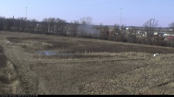 Cell 2_24-02-06_14-27-35-98