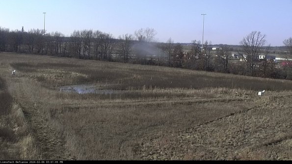 Cell 2_24-02-06_15-01-06-00