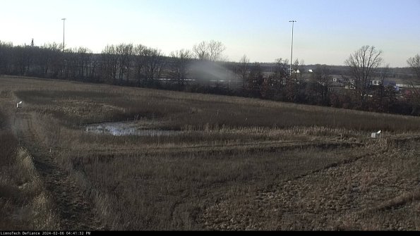 Cell 2_24-02-06_16-41-32-99