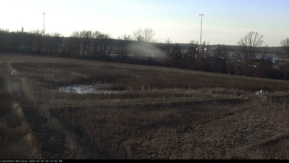 Cell 2_24-02-06_17-15-02-97