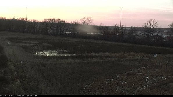 Cell 2_24-02-06_17-48-31-99