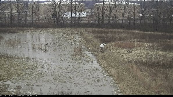 Cell 3 to 4_24-02-06_08-19-55-96