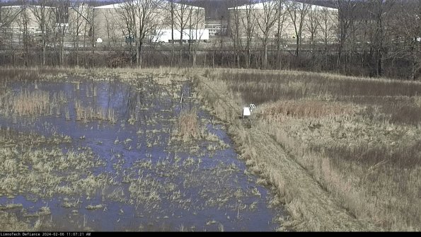 Cell 3 to 4_24-02-06_11-07-21-92