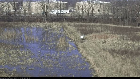 Cell 3 to 4_24-02-06_13-21-18-96