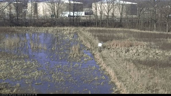 Cell 3 to 4_24-02-06_15-01-47-94