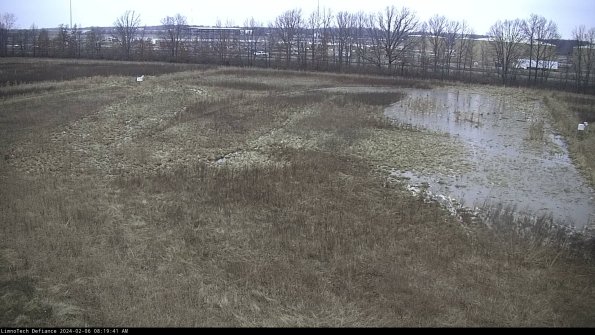 Cell 3_24-02-06_08-19-41-94