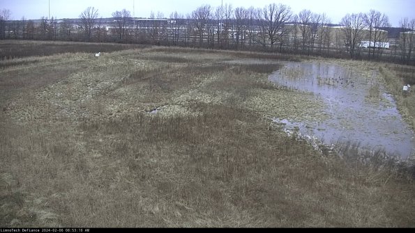 Cell 3_24-02-06_08-53-10-96