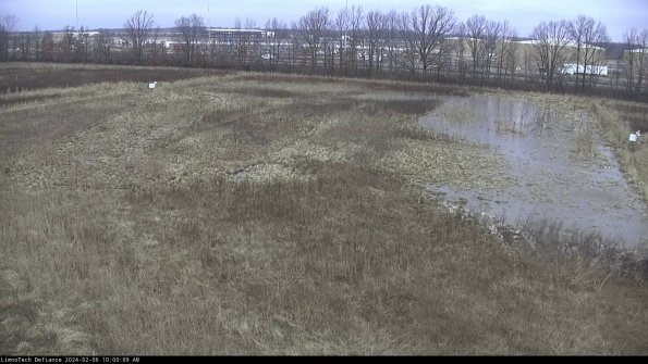 Cell 3_24-02-06_10-00-10-18