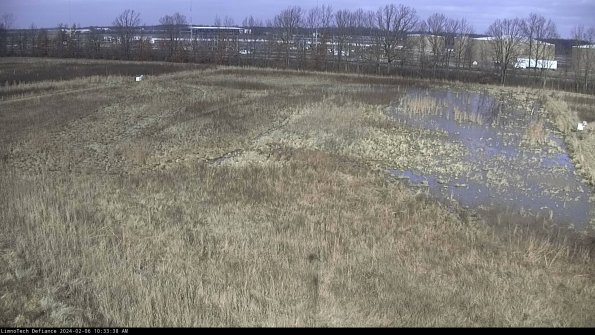 Cell 3_24-02-06_10-33-38-93