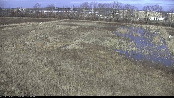 Cell 3_24-02-06_11-07-07-91