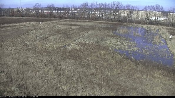 Cell 3_24-02-06_12-14-06-94