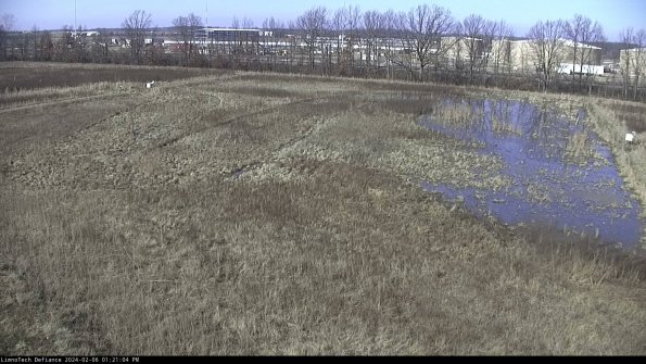 Cell 3_24-02-06_13-21-04-94