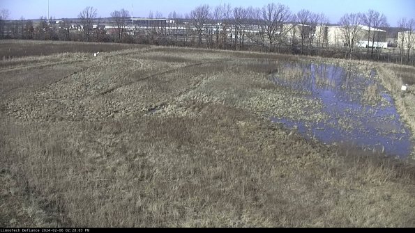 Cell 3_24-02-06_14-28-03-94