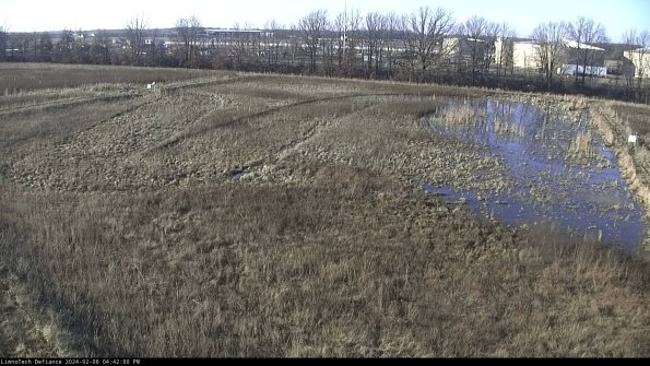 Cell 3_24-02-06_16-42-00-95