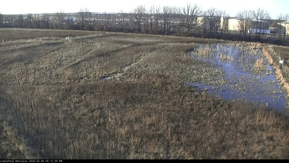 Cell 3_24-02-06_17-15-30-97