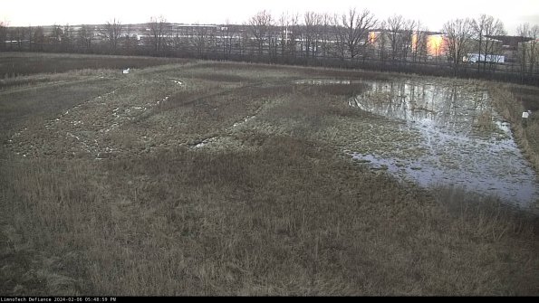 Cell 3_24-02-06_17-48-59-98