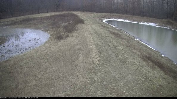 Cell 4 to Basin_24-02-06_07-47-09-92