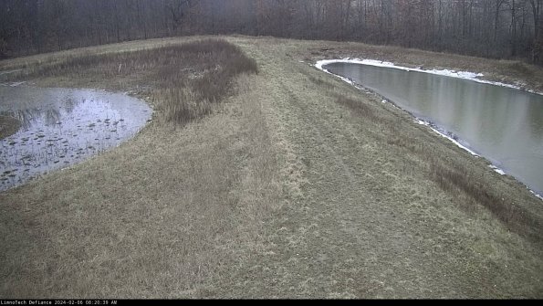 Cell 4 to Basin_24-02-06_08-20-39-93