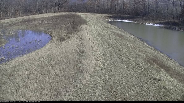 Cell 4 to Basin_24-02-06_12-48-33-95