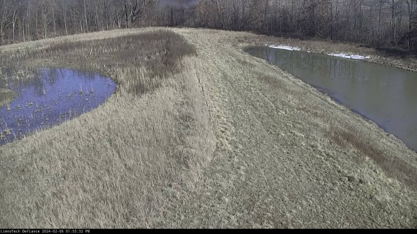 Cell 4 to Basin_24-02-06_13-55-32-99