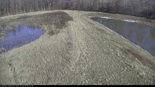 Cell 4 to Basin_24-02-06_15-02-31-95